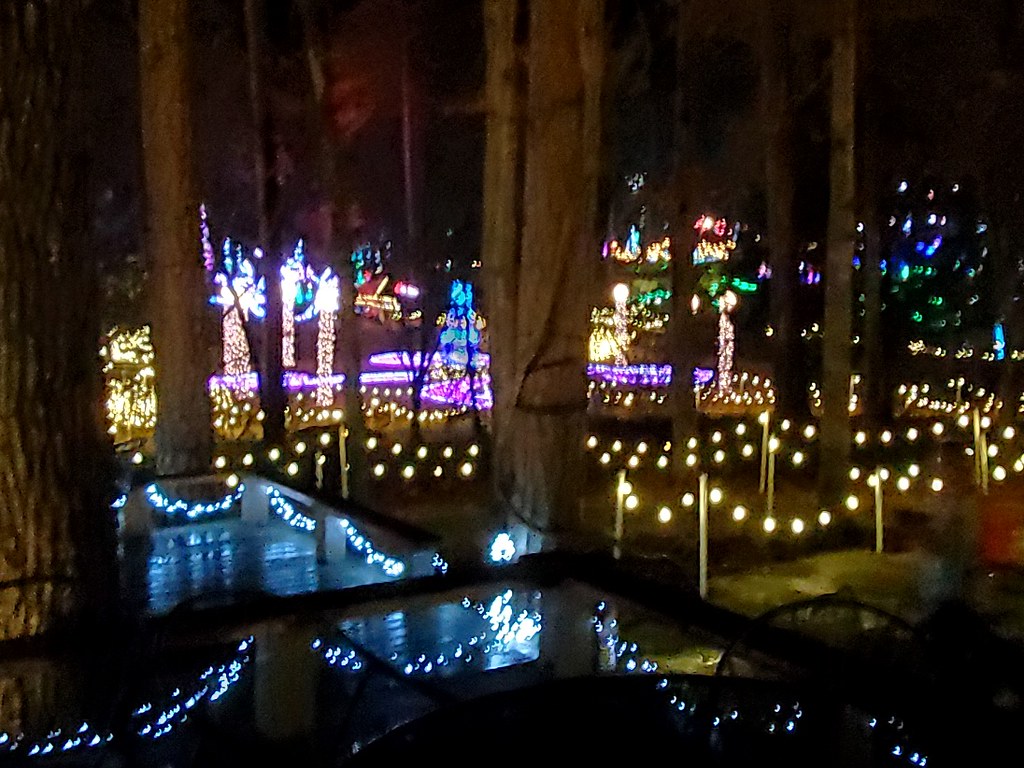 Garvan Woodland Gardens Christmas Light Display 2022 Flickr