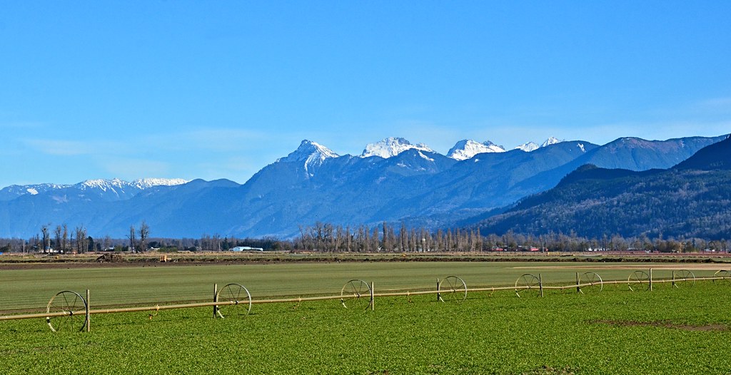 Chilliwack Mts. from Marion Rd A view of the mountains nea… Flickr