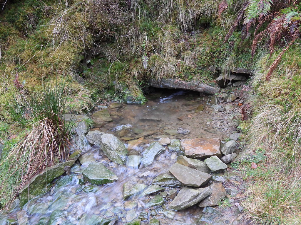 Quarry Spring, Blaen Bran, Upper Cwmbran 25 December 2022 Flickr