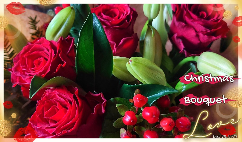 CHRISTMAS BOUQUET Red roses Christmas Bouquet given to me … Flickr