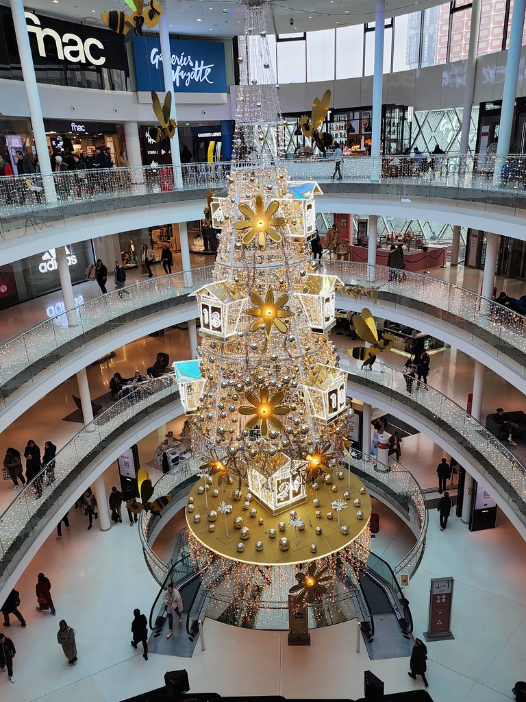 20221210_114944 Craig Miller Flickr