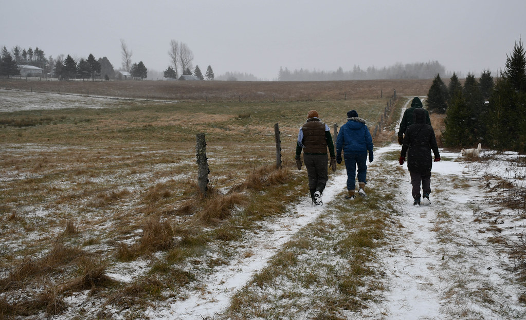 PEI 202212191 Albion Cross Shane MacClure Flickr