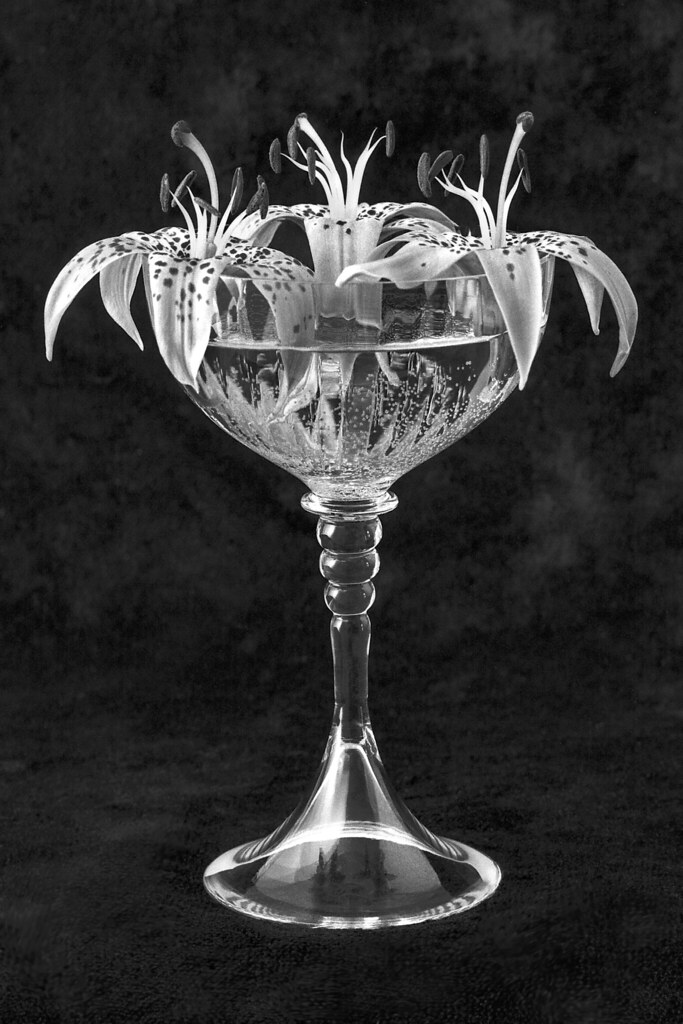 FLOWERS FOR MOM AND DAD GRUMPY STUMP Flickr