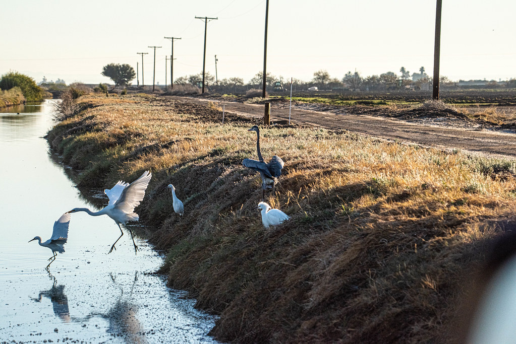 Salton Sea December 19, 2022 Visit to the Salton Sea Nat… Flickr