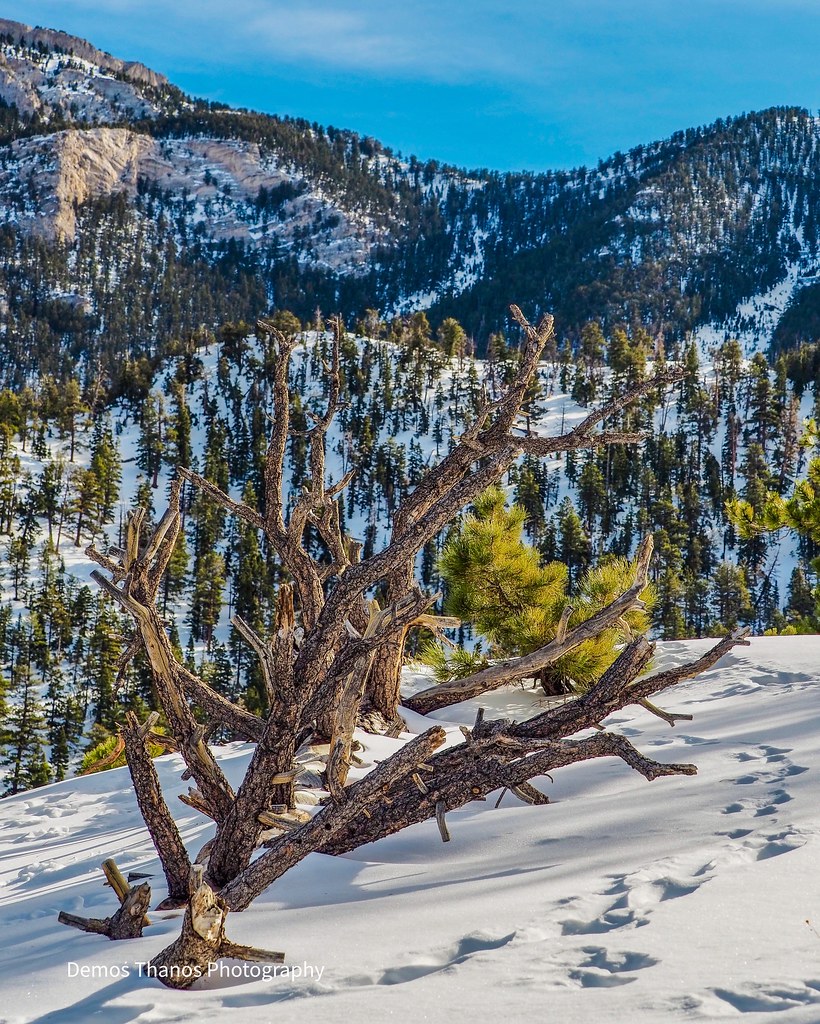 Lee Canyon NV Demos Thanos Flickr