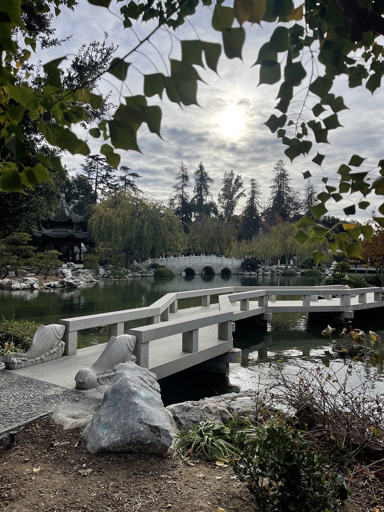 Huntington botanical garden Henry Vega Flickr