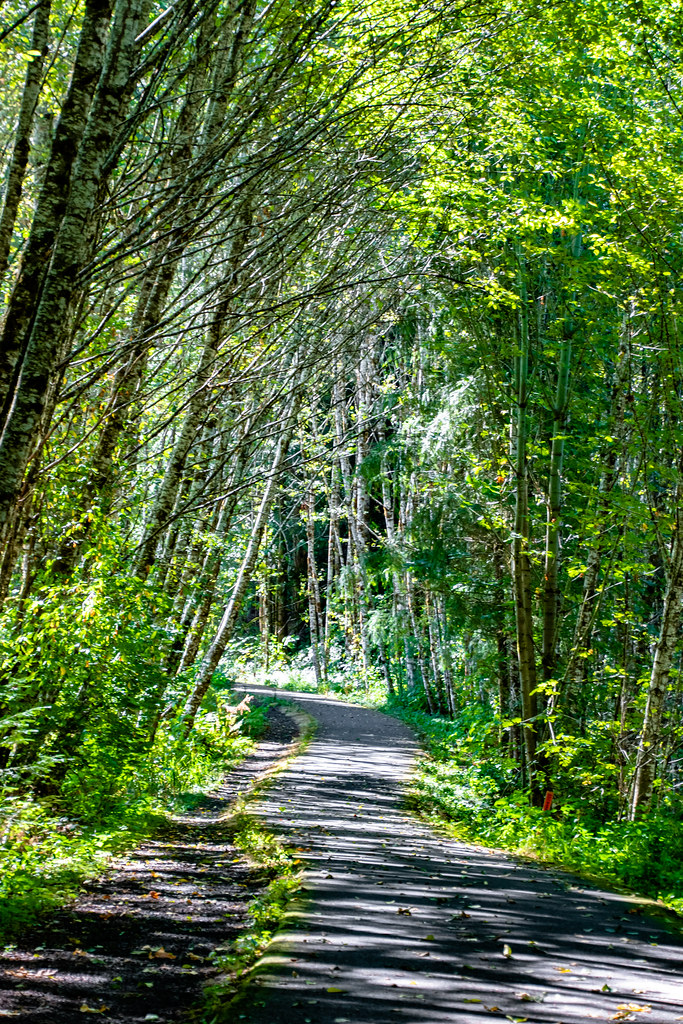 BanksVernonia Bike Trail The BanksVernonia bike trail wi… Flickr