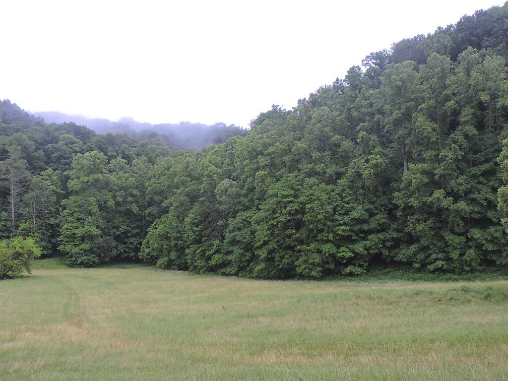 Hansonville VA Cade Campbell Flickr