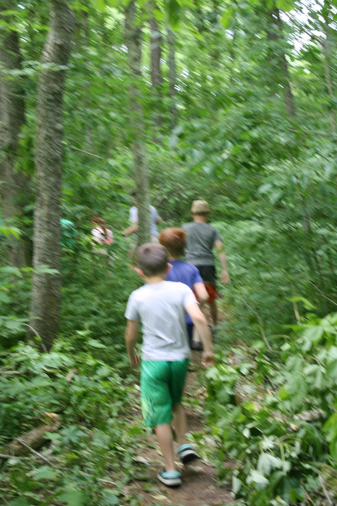 IMG_6512 Belmont County Flickr