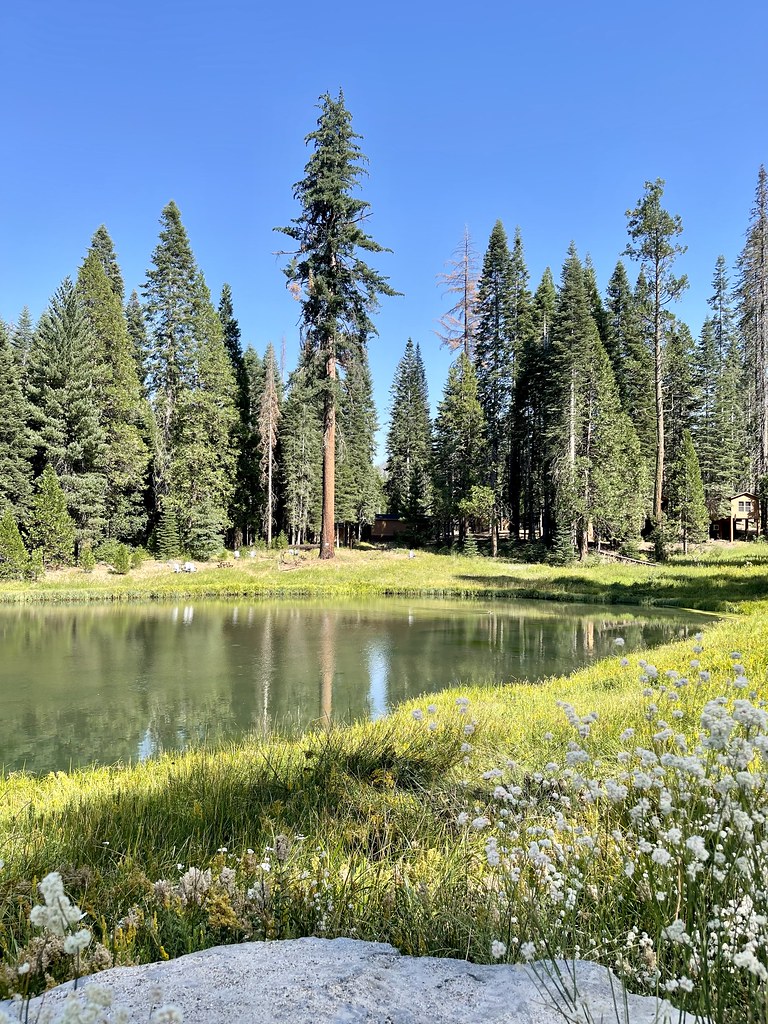 Fish Camp California near Yosemite Andreas Jakobs Flickr