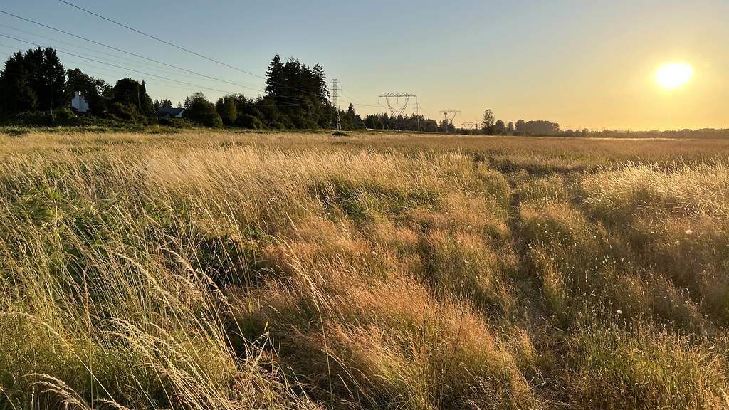 Burnt Creek Area Sunset a photo on Flickriver
