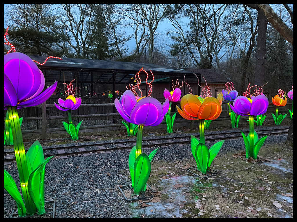 Van Saun Park 'Let It Glo' exhibit Mad Hare Imagery Flickr