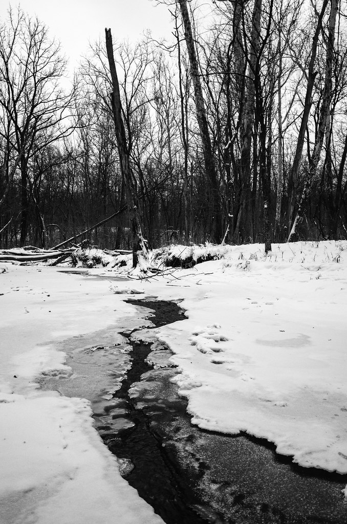 00 R0011300 Sharon Woods Metro Park, Westerville, Ohio. jonohio