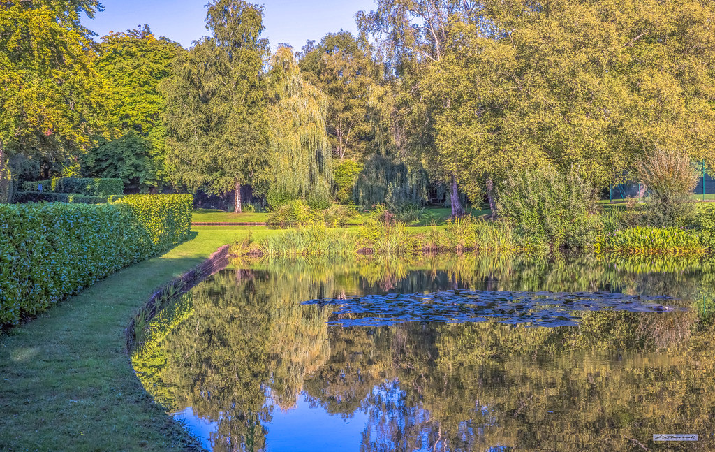 Ponds near Shamley Green in Surrey "reflecting" a very war… Flickr