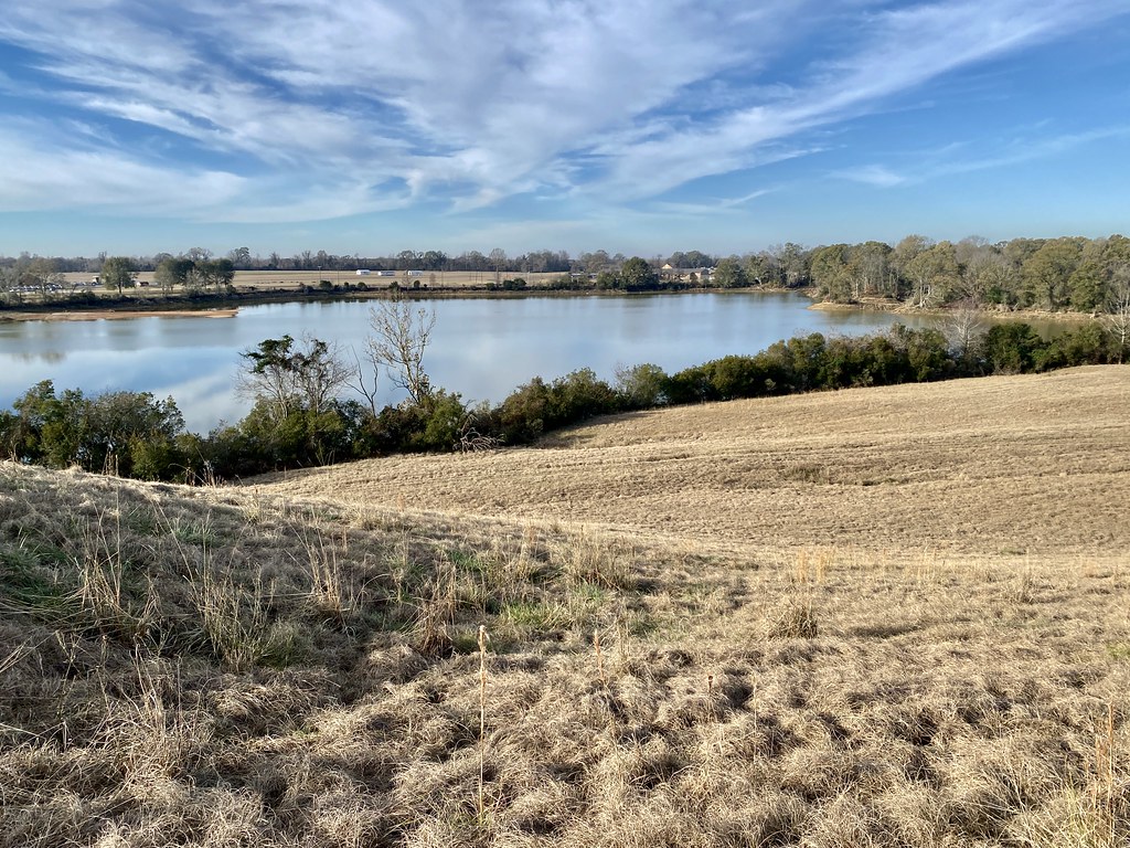 W. Irene Rd. impoundments Habitat shot for eBird list Flickr