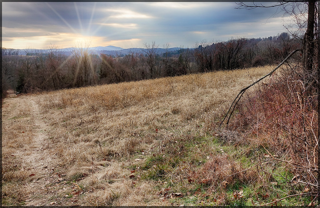 122722 The Playground 2 Greg Hartman Flickr