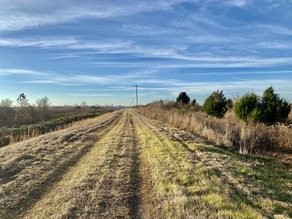 W. Irene Rd. impoundments Habitat shot for eBird list Flickr