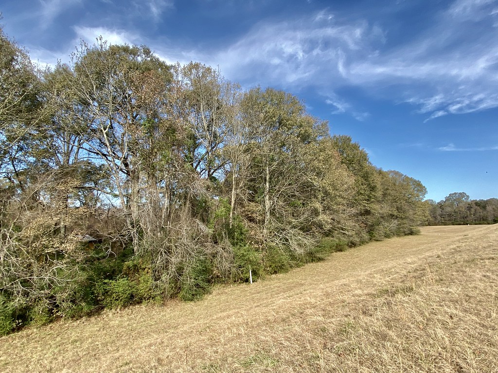 W. Irene Rd. impoundments Habitat shot for eBird list Flickr