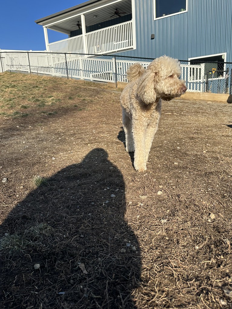 IMG_3994 Greenlin Lambs Gap Flickr