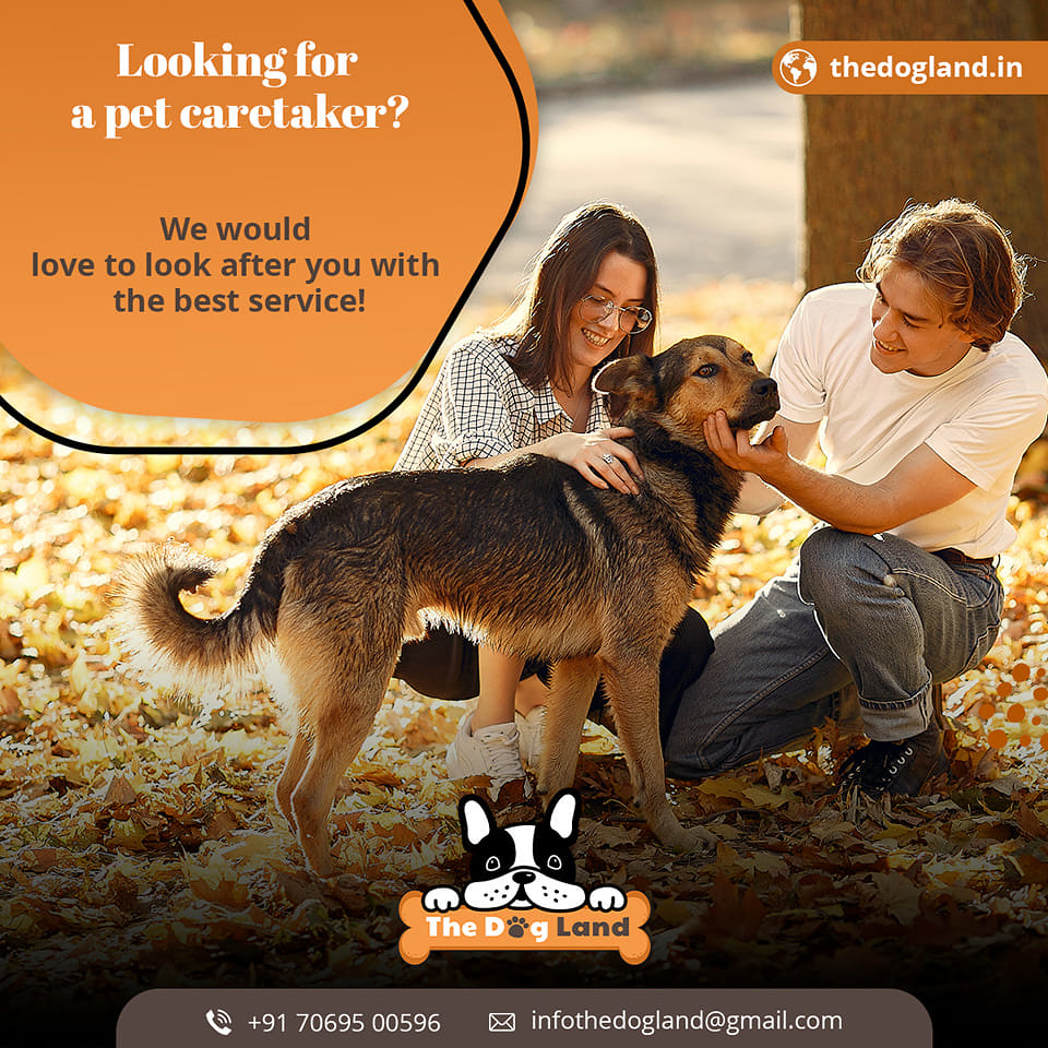 Looking for a pet caretaker? We would love to look after y… Flickr