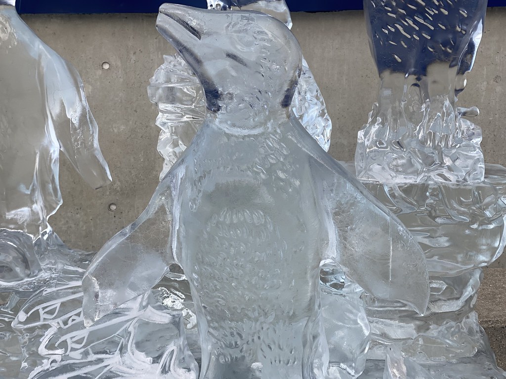 Ice Sculptures in BOSTON. Andrew Quinney Flickr