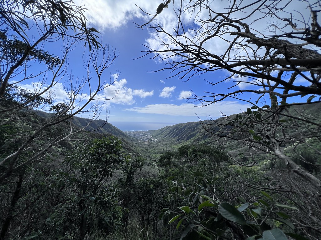 IMG_9774 Richard Seaquist Flickr