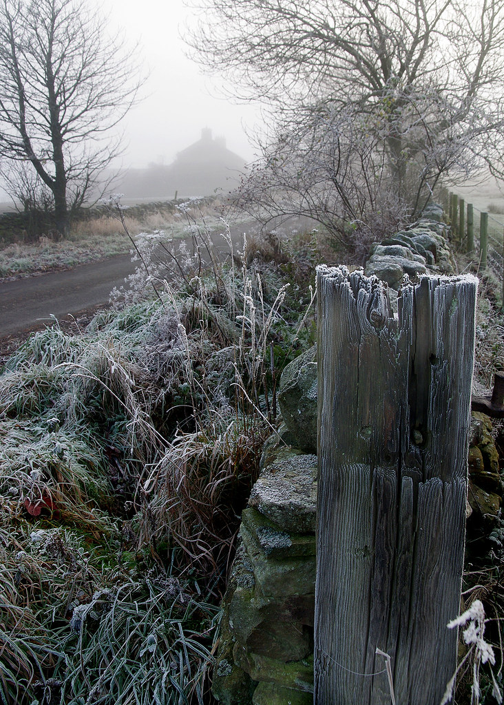 frosty lane Ron Donoghue Flickr