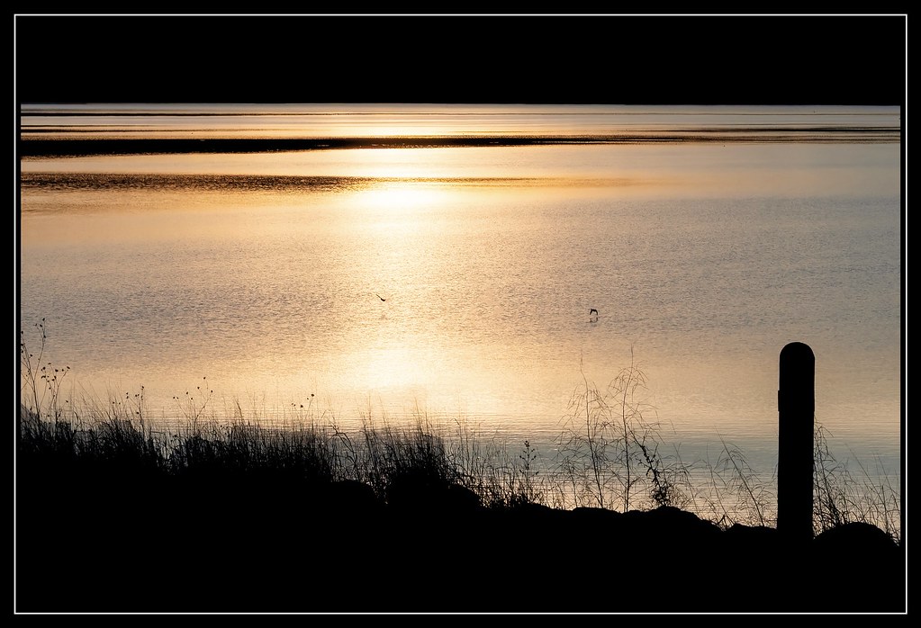 Golden hour on Skiatook Lake West of Skiatook, Oklahoma. I… Flickr