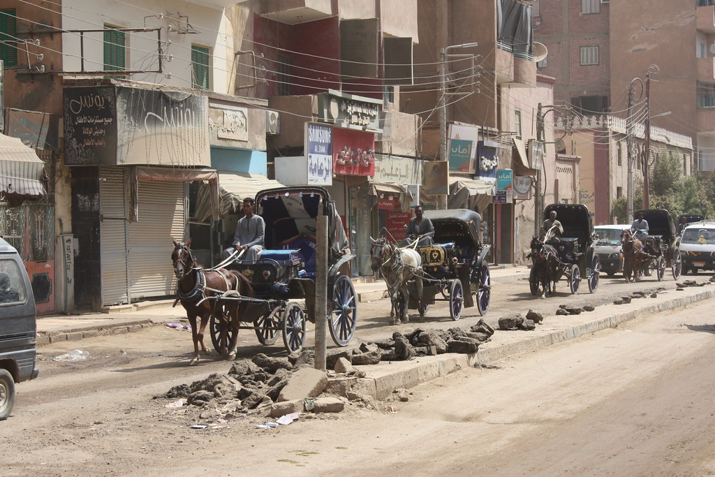 IMG_8375 Wayne Kearney Flickr