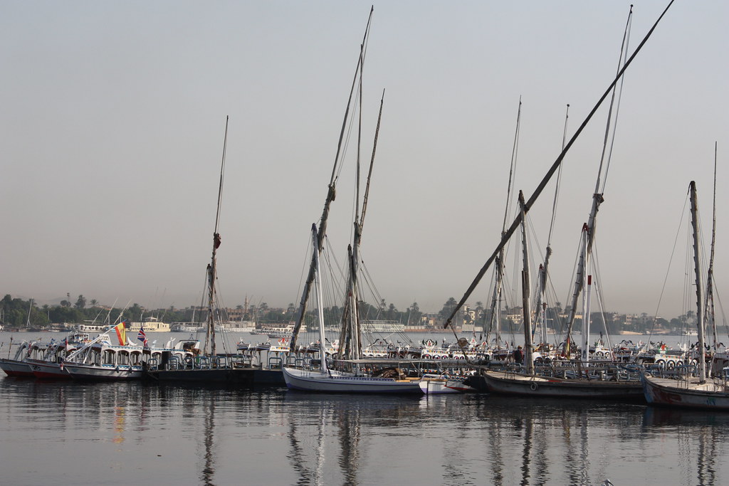 IMG_8035 Wayne Kearney Flickr