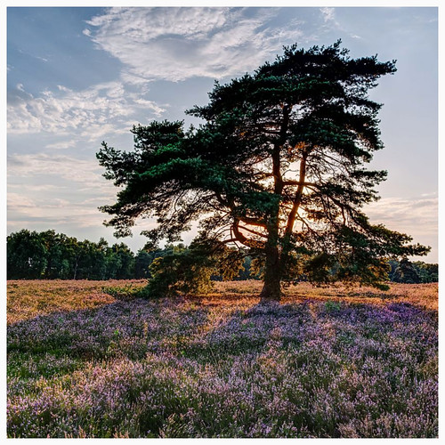 Roland Quandt Flickr