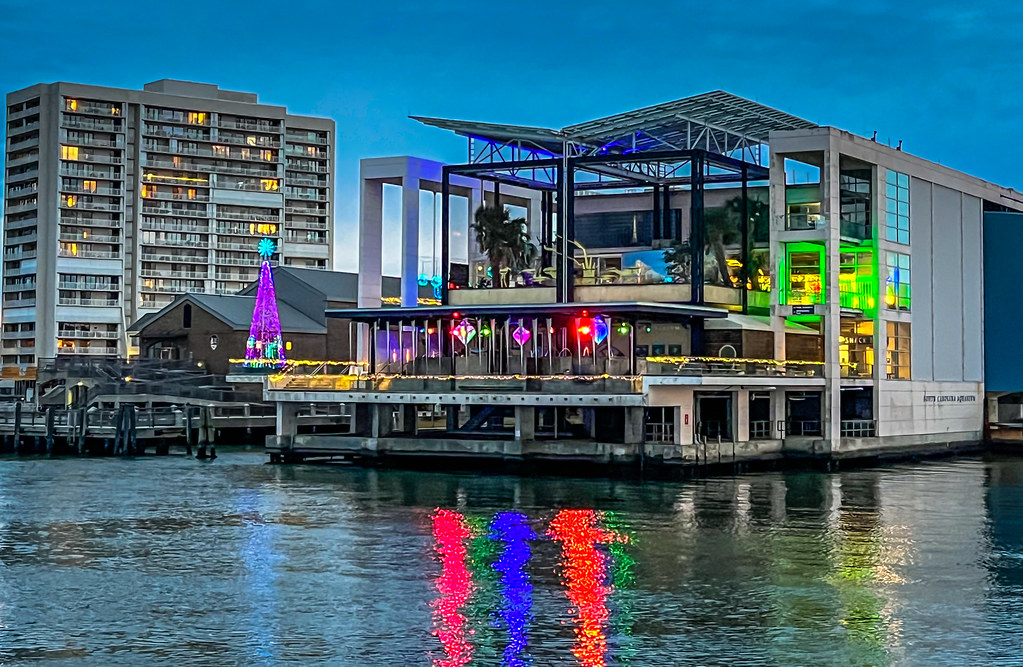 South Carolina Aquarium at night Charleston SC South Car… Flickr