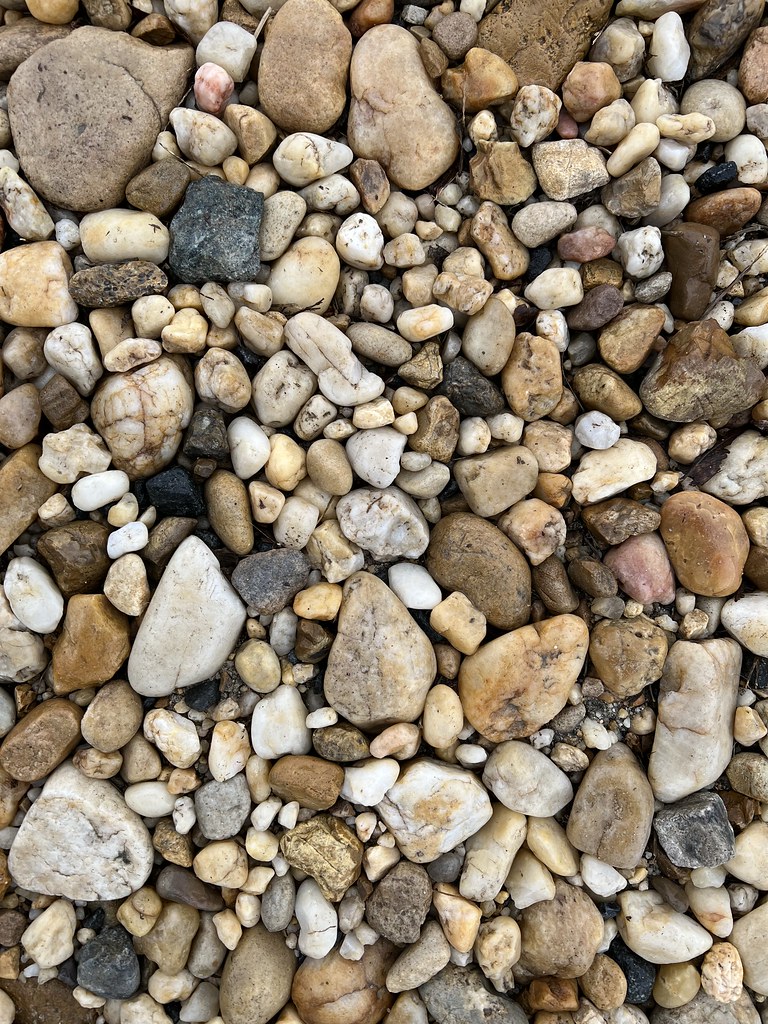 Crunchy carpet tan Souvenir's Flickr