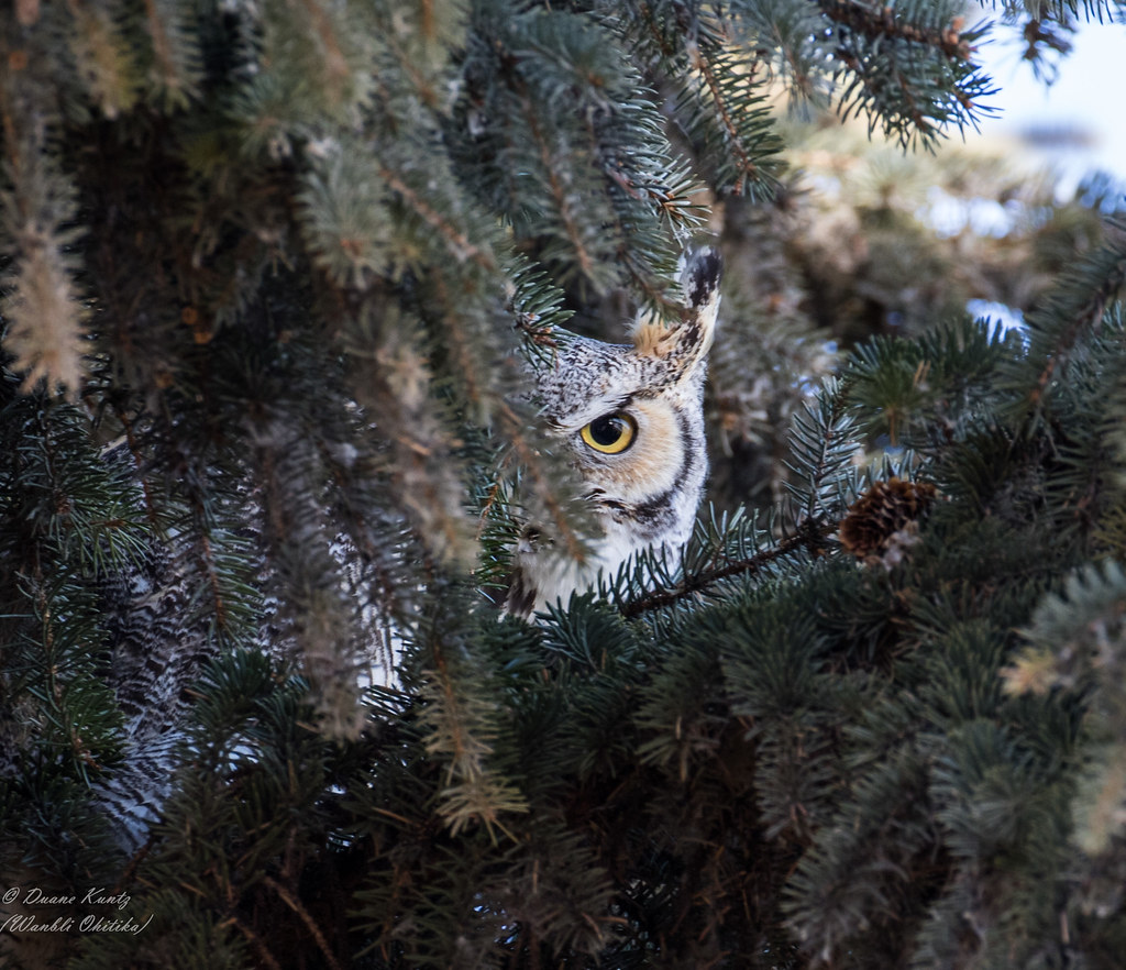 6N4A1510 1.14.21 Marina Bay Mandan ND Duane Kuntz Flickr