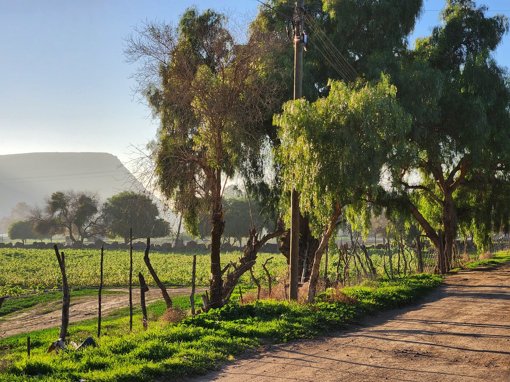 2022, La Mision, Baja California Michael Flickr