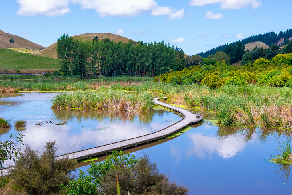 DSC_5018 Pekapeka regional park Rainman Studio Flickr