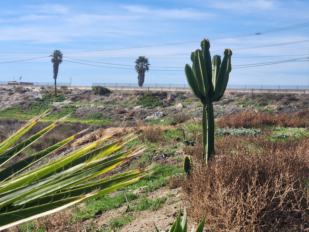 2022, Playa La Mision, Baja California Michael Flickr