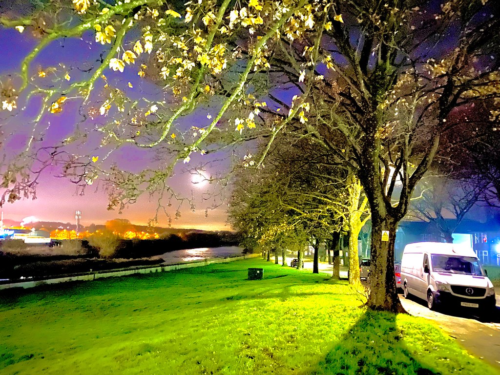 Waltonledale, 28.11.2022 KL Waltonledale, 28.11.2022 K… Flickr