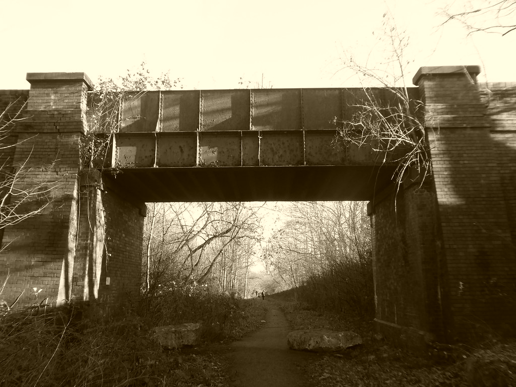 P1950646 Rail underbridge near Woodfield Way, Balby (forme… Flickr