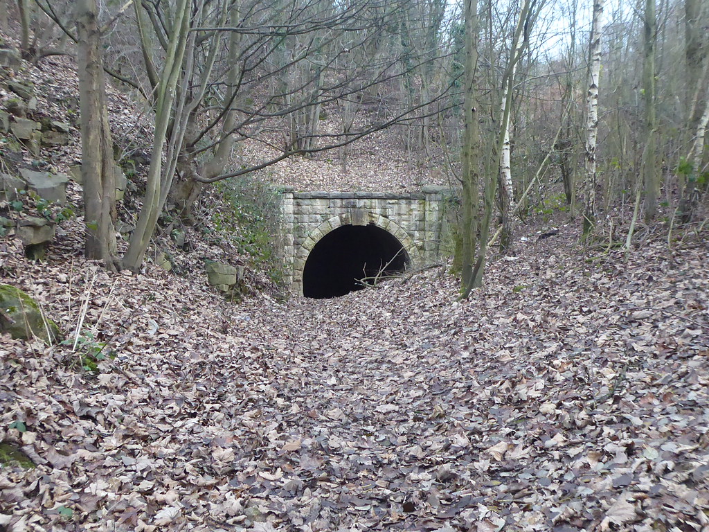 P1950661 Cadeby tunnel, Conisbrough. (Former Cadeby branch… Flickr