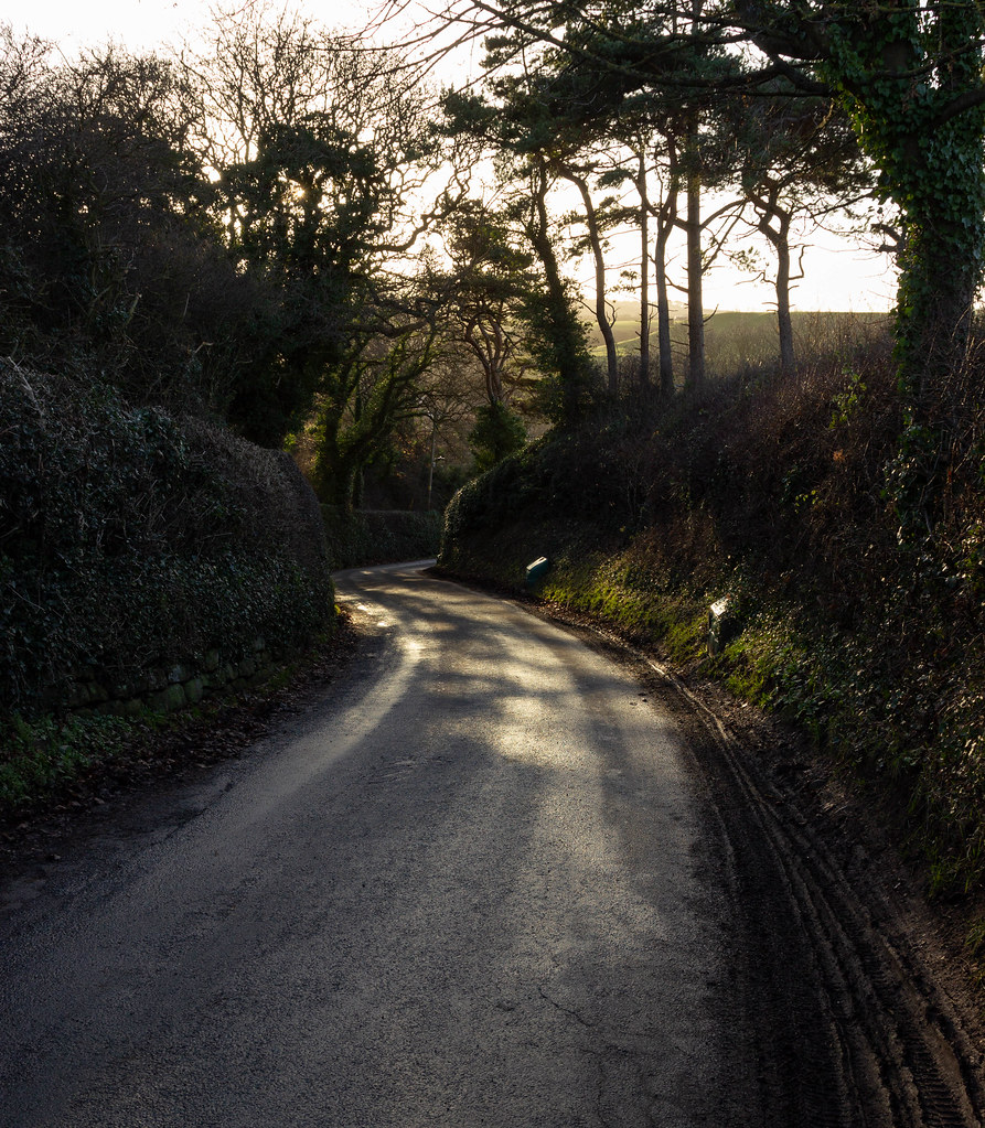 Road into the Woods The road leading down into Dalehouse n… Flickr