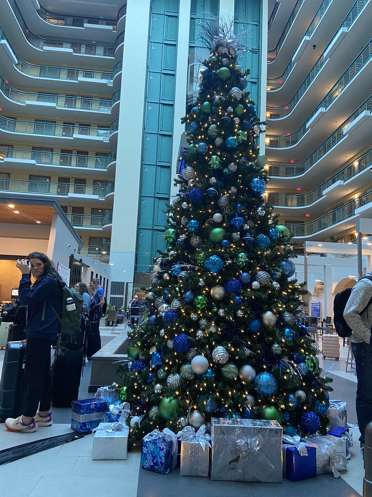 Christmas tree in Miami! Cali Newdigger Flickr