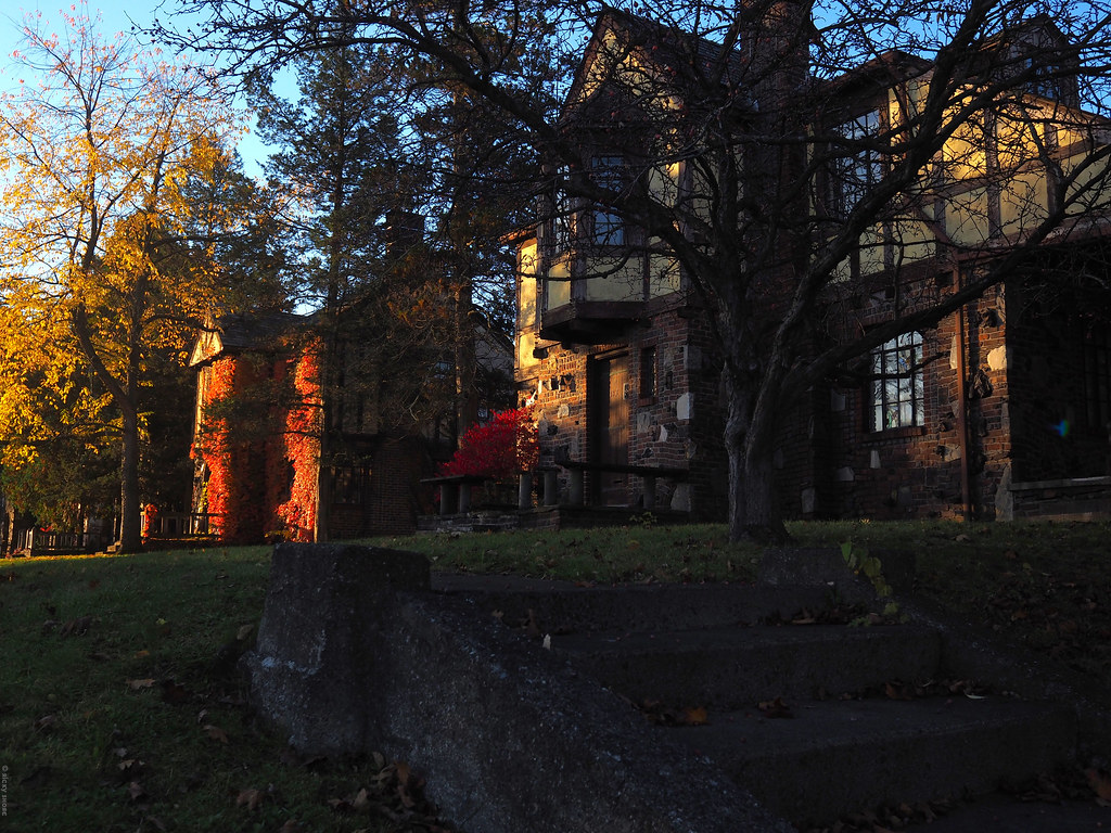 pretty vacant Albany, NY A group of mostly unoccupied T… Flickr