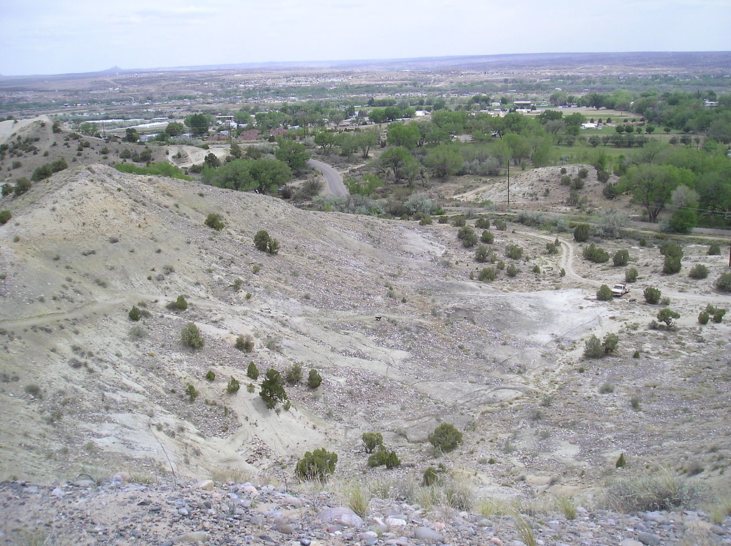 P5120049 OLYMPUS DIGITAL CAMERA New Mexico Volunteers for the