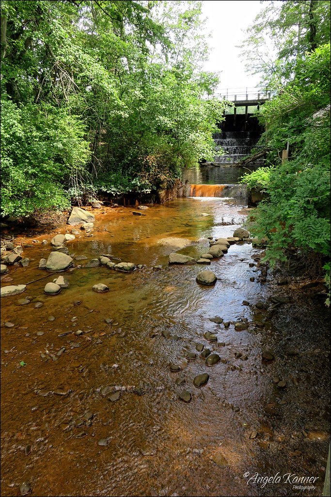 Rusty... Taken at the Cold Spring Harbor Fish Hatchery... angela