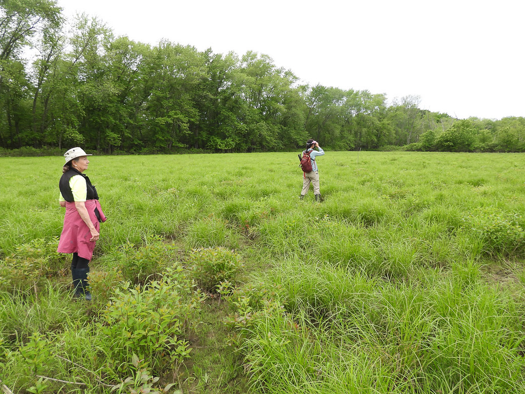 Fields at Friendship Road Birding near Friendship Road Flickr