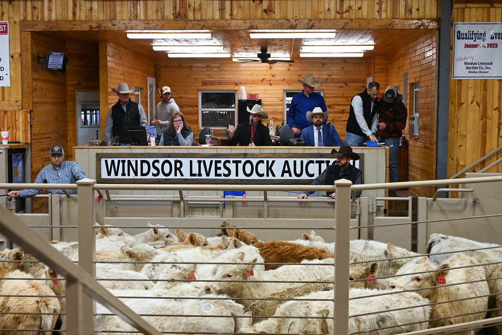 DSC_7597 Livestock Marketing Association Flickr