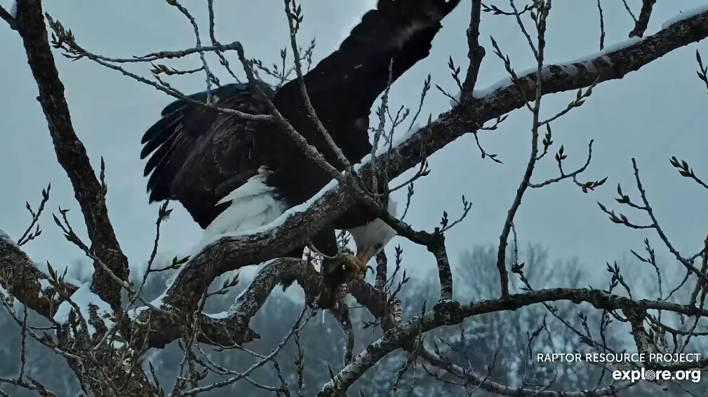 Screenshot (2) Lisa Guy Flickr