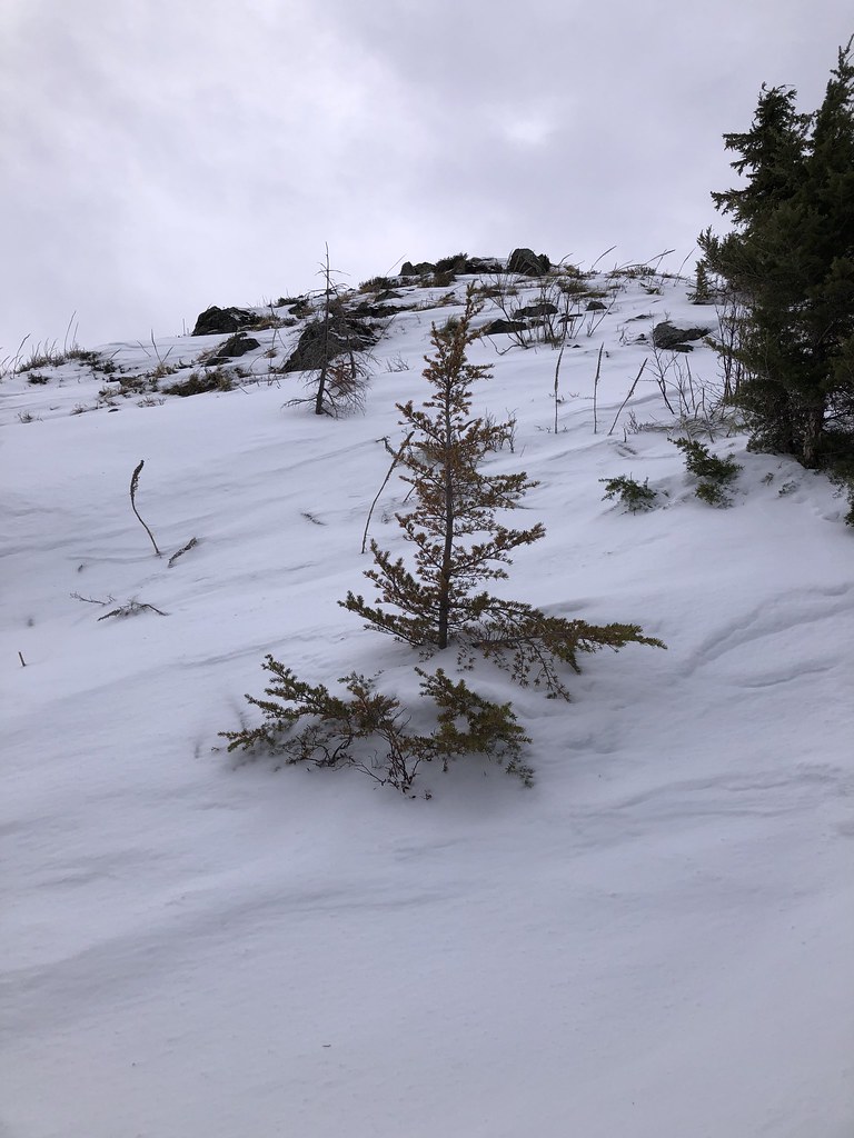 Mailbox summit from the north. Brian Flickr