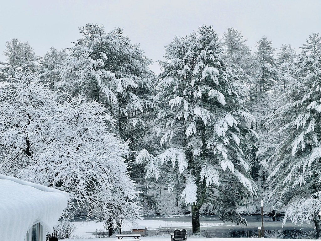 Aftermath of a snowfall. Wells, Maine. devtmefl Flickr